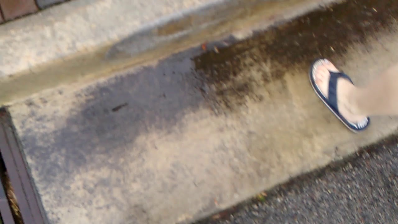 STAR GIRL , Blue Valley , Nebraska YouTube