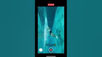 iPhone Video Hack: Holiday Video Effect in CapCut