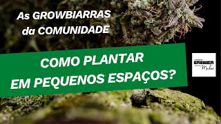 COMO PLANTAR EM PEQUENOS ESPAÇOS ? - React de conteúdo do Discord da COMUNIDADE