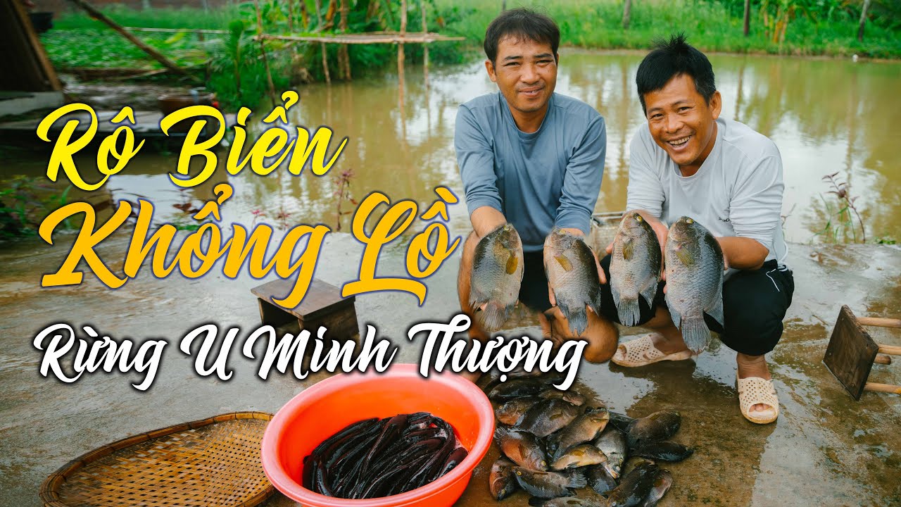 Câu Cá Quý Trong Rừng U Minh Thượng - Nấu Món Đặc Sản | Tập 26