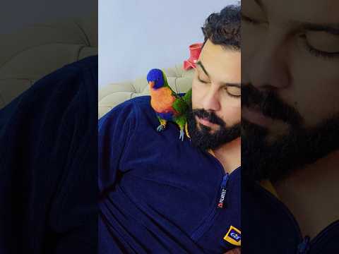 اللوري النادر بس هون بتلاقيه متاح للطلب والاستفسار الاتصال 0770524237 الاردن اكسبلور