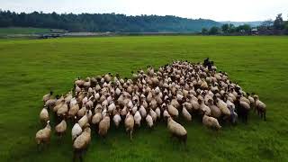 Adana Karaisalı Kırıklı Ve Çatalan