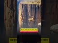 Motivational #viral #yt #ytshorts #shortsfeed #bpscprelims #shorts #shortsfeed #ytviral