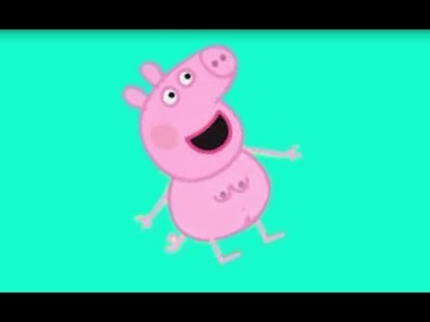 toto culo para toto culo para