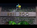 Bali Zoo