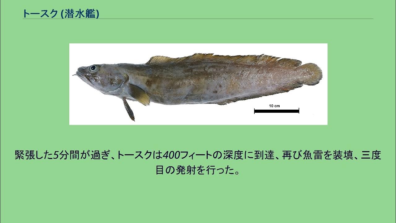 トースク (潜水艦) YouTube