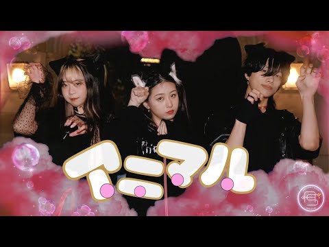 [Archery Star] DECO*27 - アニマル｜踊ってみた｜Dance Cover | Australia