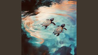 Flippers