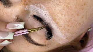 How to make Russian Volume lashes set😍😘😊