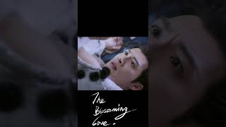    sunjenni zhangbinbin the Blossoming Love