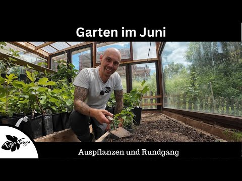 June Garden Tour | Gardening