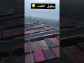 امواج هائله كادت تقلب السفينه Shorts