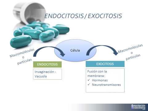 FARMACOCINETICA ANTIBIOTICOS farmacocinetica antibioticos: