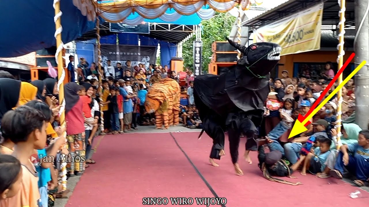 Kejengkang disrudug banteng SINGO WIRO WIJOYO