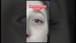 #ресницы #lashmaster #lashmaker #наращиваниересниц #наращиваниересницволгоград #волгоград #лиса