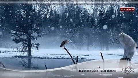 تلاوة رهيبة جدا وهادئة تنسيك الدنيا وهمها القارئ عمير شميم