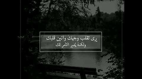 ما تيسر من سورة آل عمران - بصوت القارىْ عبدالرحمن مسعد