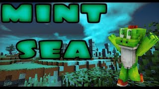 MINT SEA 16X SUBE FPS TEXTURE PACK ==  1.8 == (YOSHI4D)ツ