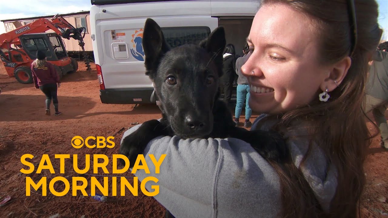 Volunteers work to reduce barriers to pet care in rural America