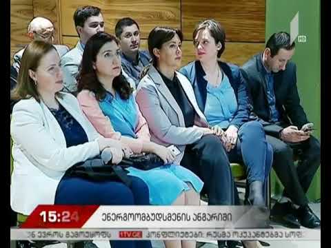 ენერგოომბუდსმენის ანგარიში
