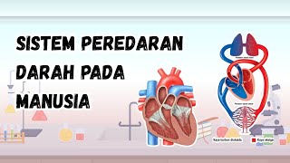 Sistem Peredaran Darah pada Manusia | Jantung | Pembuluh Darah Sistem Peredaran Darah pada Manusia | Jantung | Pembuluh Darah