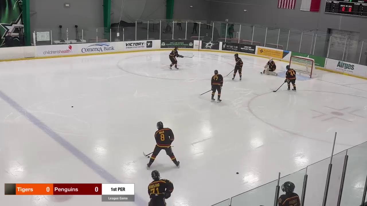 League Game 2. Texas Tigers Vs Dallas Penguins