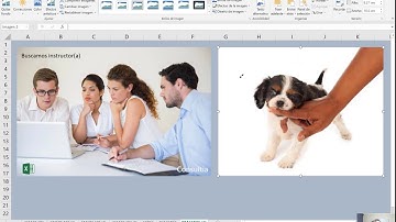 Quitar el color de fondo en una imagen en Excel parte 1