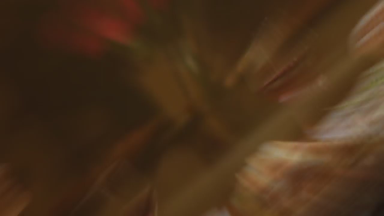 Sponsored: Expert tips to have you lucky in love with It’s Just Lunch SF