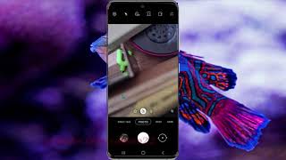 Samsung Galaxy S20 : How to zoom in or zoom out camera (Android 11) screenshot 1