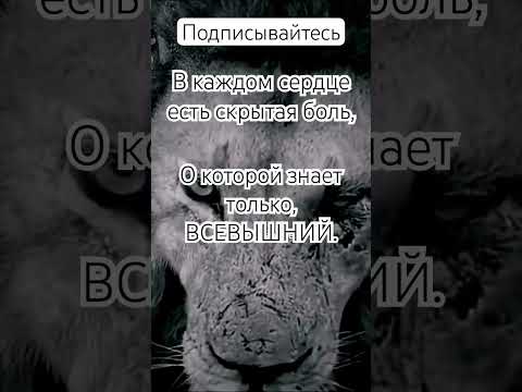 #motivation #motivational #рекомендации #жизнь #цитаты #мотивациянауспех ##успех #сильныеслова #топ