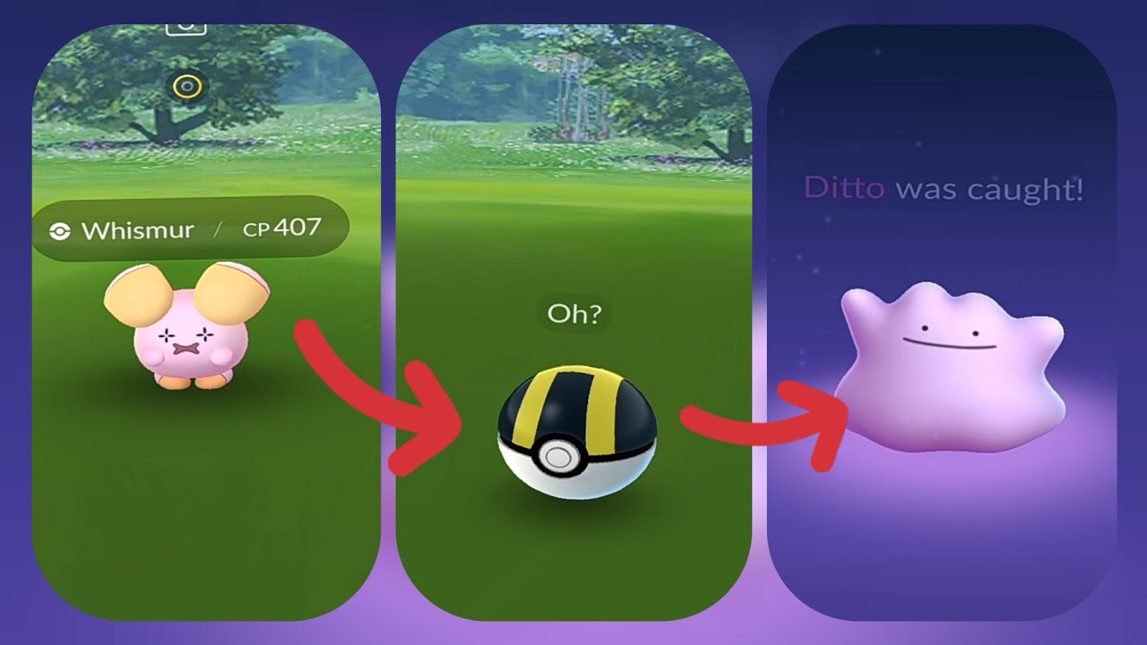 Catching a ditto in Pokemon go.... YouTube
