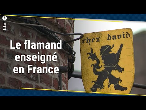 Le flamand peut dorénavant être enseigné en France - RTBF Info
