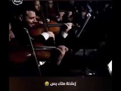 ايوه بحبك اوي بس مش عايزاك لما البنت تنكد عليك وانت مش فاهم حاجة