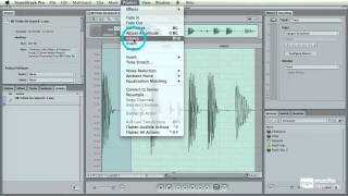 41  Using Third Party Sample Editors