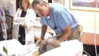 Tube Feeding Overview at MUSC