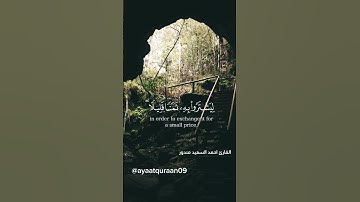 #سورة_البقرة #احمد_السعيد_مندور#تلاوات #آيات #قرآن #quran #تلاوة_خاشعة #explore