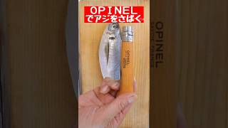 OPINELでアジをさばく