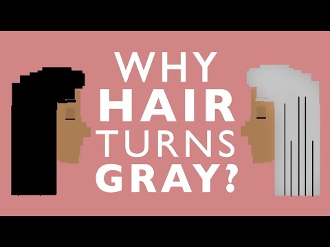 Why Your Hair Will Turn Gray
