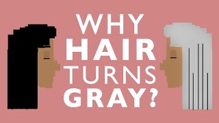 Why Your Hair Will Turn Gray