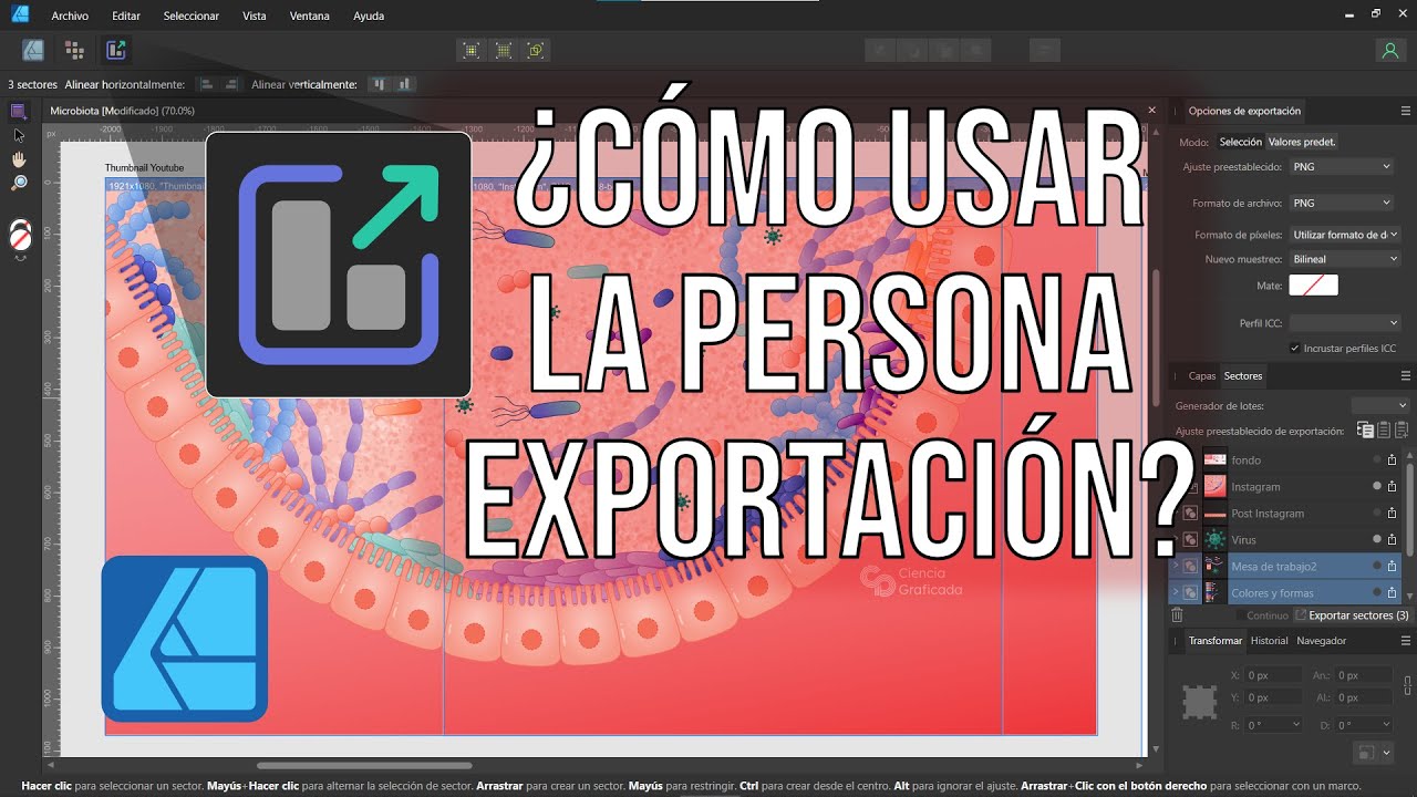 ¿Cómo exportar en Affinity Designer ? Tutorial sobre la Persona Exportación