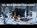 2 Night Winter Bushcraft Camp with My Dog - Complete Shelter Build