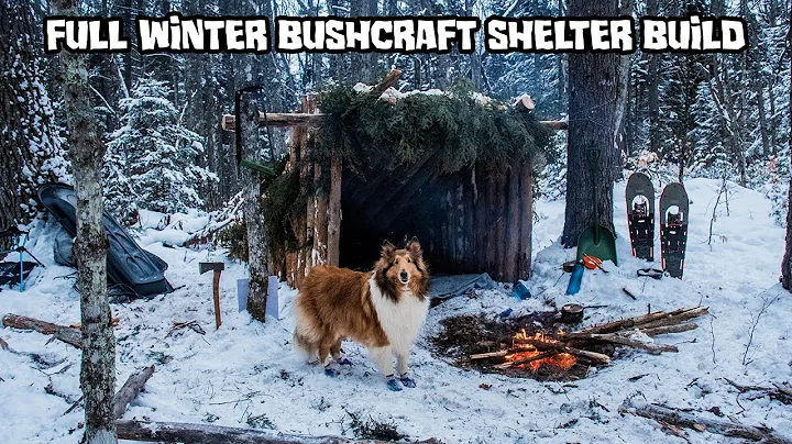 2 Night Winter Bushcraft Camp with My Dog - Comple...