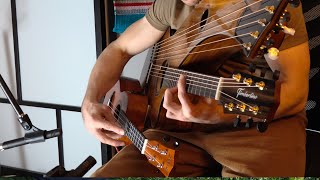 Video thumbnail of "Triple Necked Acoustic Harp Guitar"