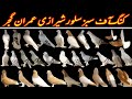 Silver shirazi  sabaz shirazi  chap kabootar  sherazi pigeon 2021  laal shirazi  pigeon shokeen