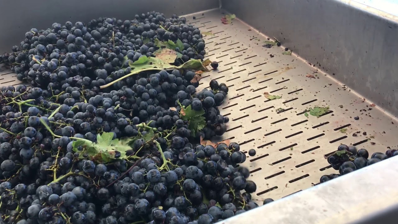 Siprem vibrating hopper