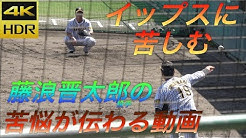 やまチャンネル 野球youtube Youtube