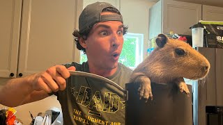 How to Catch and Cook Baby Capybara