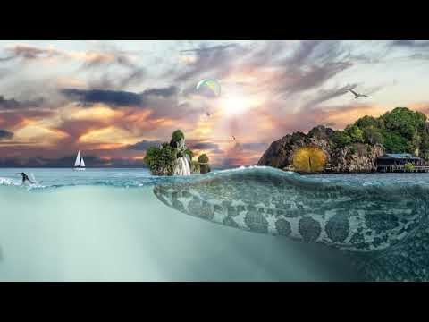 Carolina - Inselkind (Walter Wild Remix)
