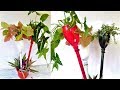 creative ideas/plastic bottle planter ideas/plants arrangement/ORGANIC GARDEN