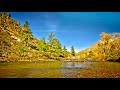 Mountain River in Autumn 4k UHD. Peaceful River Sounds, Nature Sounds, 10 Hours to Sleep, Relax.